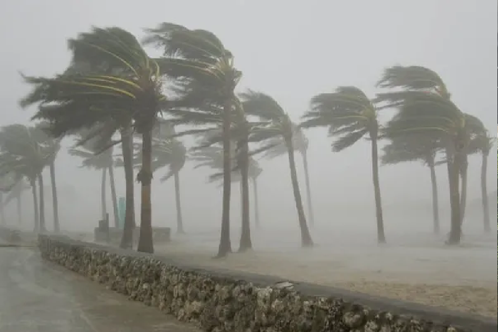 wind mitigation inspection palm beach florida